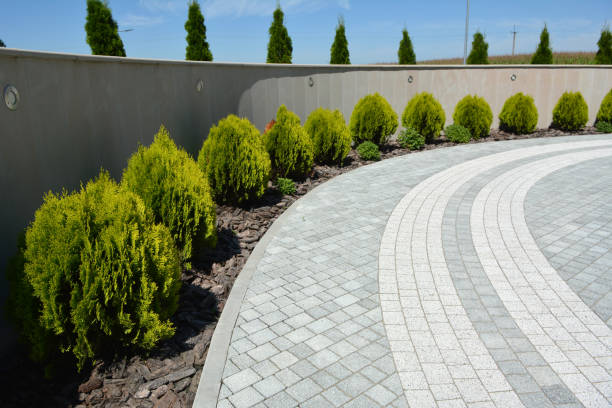 Best Custom Driveway Pavers  in Hackettstown, NJ